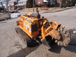 Bradley Tree Experts - On the Job Photos