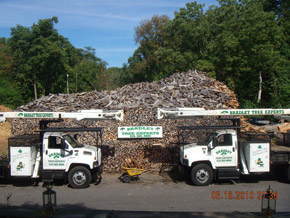 Bradley Tree Experts - Ready for the 2010 Winter Season