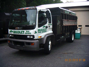 Bradley Tree Experts - One of Our Trucks