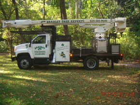Bradley Tree Experts - Another One of Our Trucks
