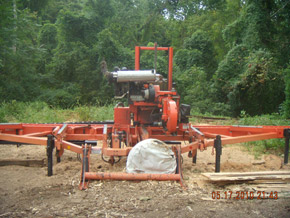 Bradley Tree Experts - The Wood Mizer