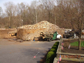 Bradley Tree Experts - Firewood Photos