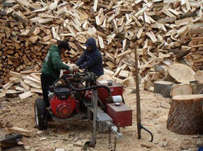 Bradley Tree Experts - Firewood Photos