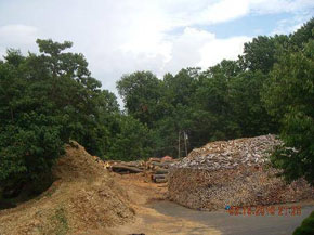 Bradley Tree Experts - Firewood Photos