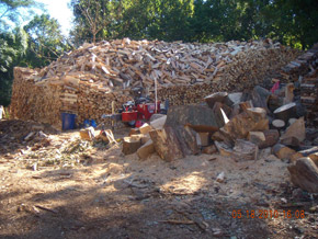 Bradley Tree Experts - Splitting Wood For Next Season