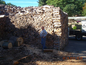 Bradley Tree Experts - The Boss Man Himself