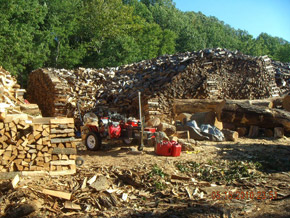 Bradley Tree Experts - The Pit