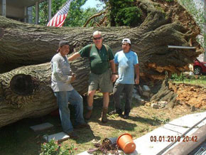 Bradley Tree Experts - On the Job Photos