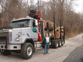 Bradley Tree Experts - On the Job Photos