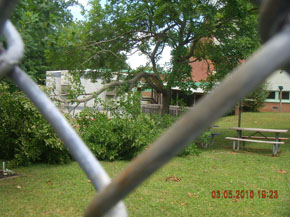 Bradley Tree Experts - On the Job Photos