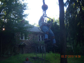 Bradley Tree Experts - On the Job Photos
