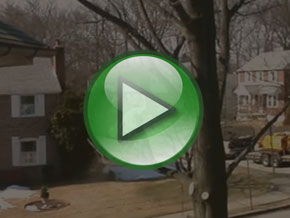 Bradley Tree Experts - On the Job Video