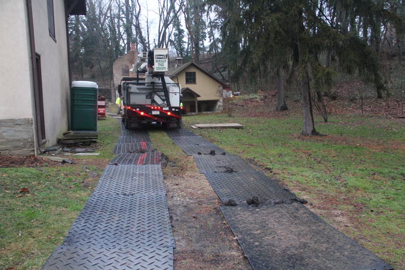 Bradley Tree Experts - Tree Service Removal in Delaware County - Main ...